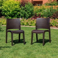 Комплект обеденных стульев Royal Family JULY (2 шт.) коричневый