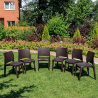 Комплект обеденных стульев Royal Family JULY (6 шт.) коричневый