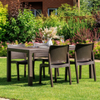 Обеденный комплект Royal Family JULY S стол и стулья цвет коричневый