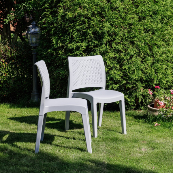 Комплект обеденных стульев Royal Family JULY (2шт) светло-серый