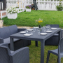 Обеденный комплект Royal Family LANA DINING XL графит