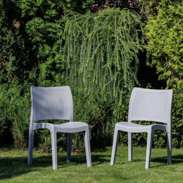 Комплект обеденных стульев Royal Family JULY (2шт) светло-серый