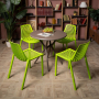 Комплект обеденных стульев Royal Family NICO (4 шт.) зеленый