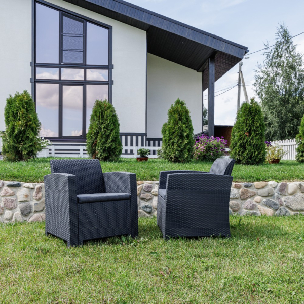 Комплект из двух кресел Royal Family LANA графит